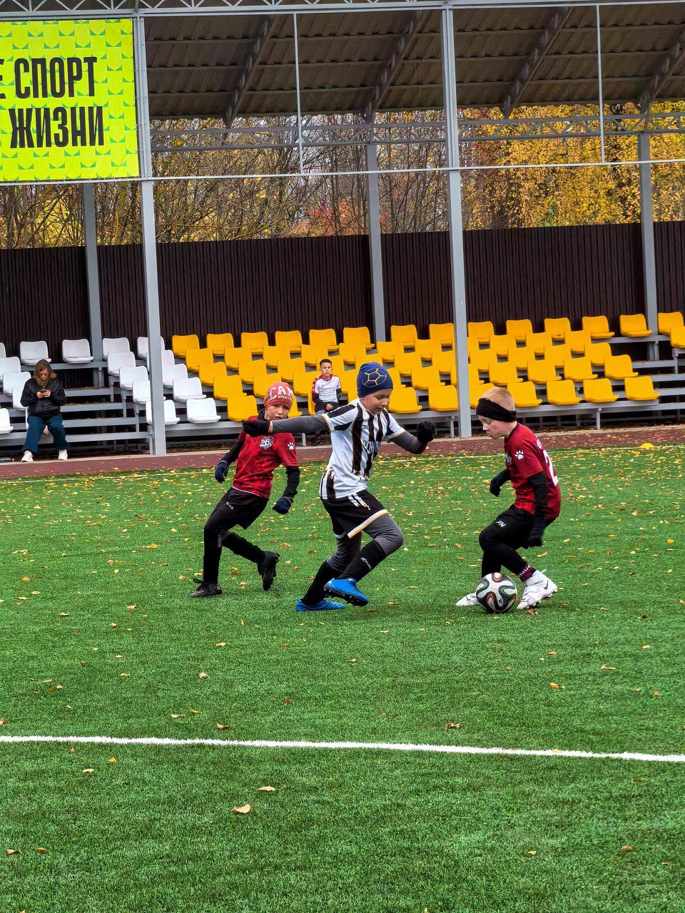 Спортсмены футбольного отделения учреждения допобразования «Озёры» успешно завершили игровой сезон Спортсмены футбольного отделения учреждения допобразования «Озёры» успешно завершили игровой сезон