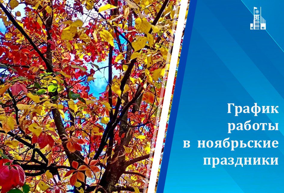 Рассказываем мытищинцам о графике работы соцучреждений и общественного транспорта в ноябрьские праздники