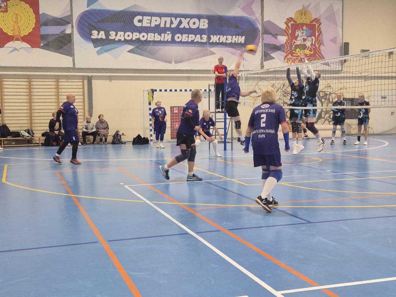 Волейбольная команда проекта «Активное долголетие» из Богородского округа успешно выступила в финале турнира по волейболу, который прошёл 31 октября в Серпухове