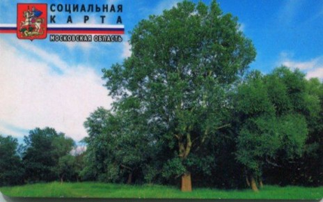 Акция для пожилых людей «Испекли для вашей радости» в д. Манушкино