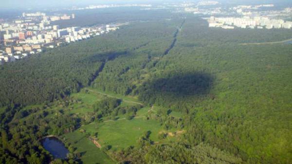 Проект «Шахматы для СВОих» стартовал в Балашихе Проект «Шахматы для СВОих» стартовал в Балашихе