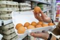 Как выбрать яйца: секреты, о которых не подозревают даже опытные хозяйки