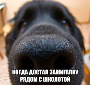 Зумеры стали попадать в больницу из-за отравления газом в 5 раз чаще — из-за увлечения сниффингом