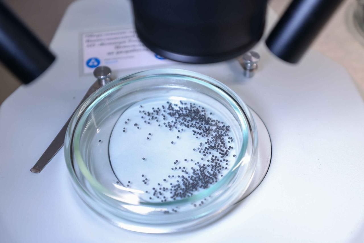 Григорий Артамонов: Учёные и инженеры вновь доказывают, что передовые технологии создаются не где-то далеко, а у нас, в Подольске Григорий Артамонов: Учёные и инженеры вновь доказывают, что передовые технологии создаются не где-то далеко, а у нас, в Подольске