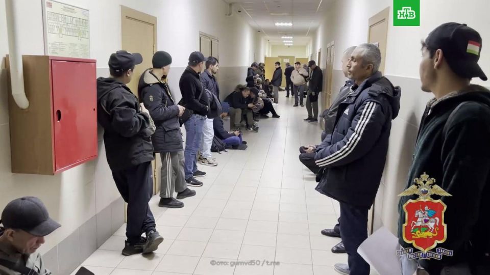 В Подмосковье прошла масштабная операция «Нелегал-2025»