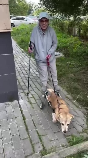 Москвичка и ее пожилая собака вдохновляют соседей своим примером