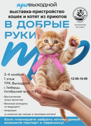 Выставка-пристройство кошек и котят из приютов «В добрые руки» пройдет в Люберцах 3 и 4 ноября в ТРК «Выходной»