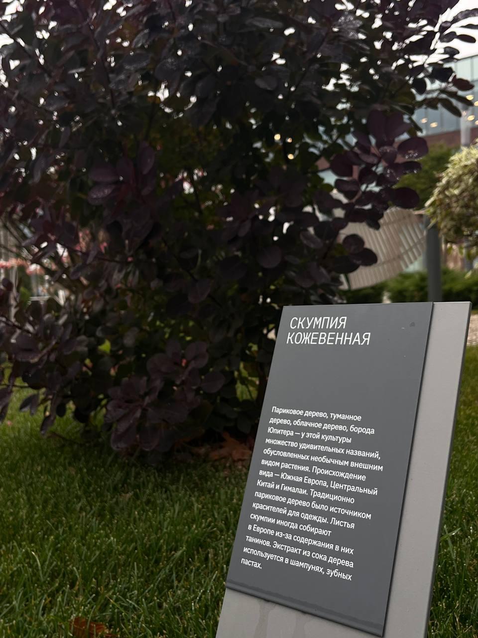 ЭКОЛОГИЯ — ЭТО НАУКА О БУДУЩЕМ! ЭКОЛОГИЯ — ЭТО НАУКА О БУДУЩЕМ!