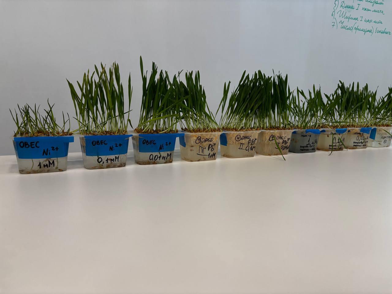 ЭКОЛОГИЯ — ЭТО НАУКА О БУДУЩЕМ! ЭКОЛОГИЯ — ЭТО НАУКА О БУДУЩЕМ!