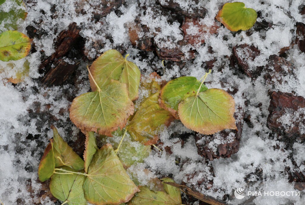 АТМОСФЕРА: брр, это что такое? Заморозки? (ну да, отвыкли)