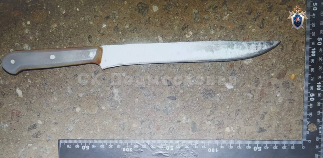 В Лобне задержан местный житель по подозрению в убийстве знакомой