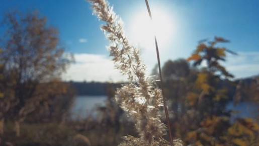 Уважаемые жители Раменского городского округа! От всей души поздравляю вас с государственным праздником - Днём народного единства!