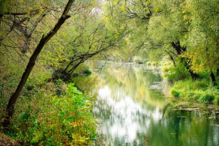 Сегодня в Парках Чехова. ВТОРНИК (4 ноября) РОССИЯ