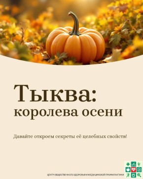 Осень – сезон тыквы. Тыква – вкусный и полезный продукт сезона, богата каротином, придающим ей яркий оранжевый оттенок