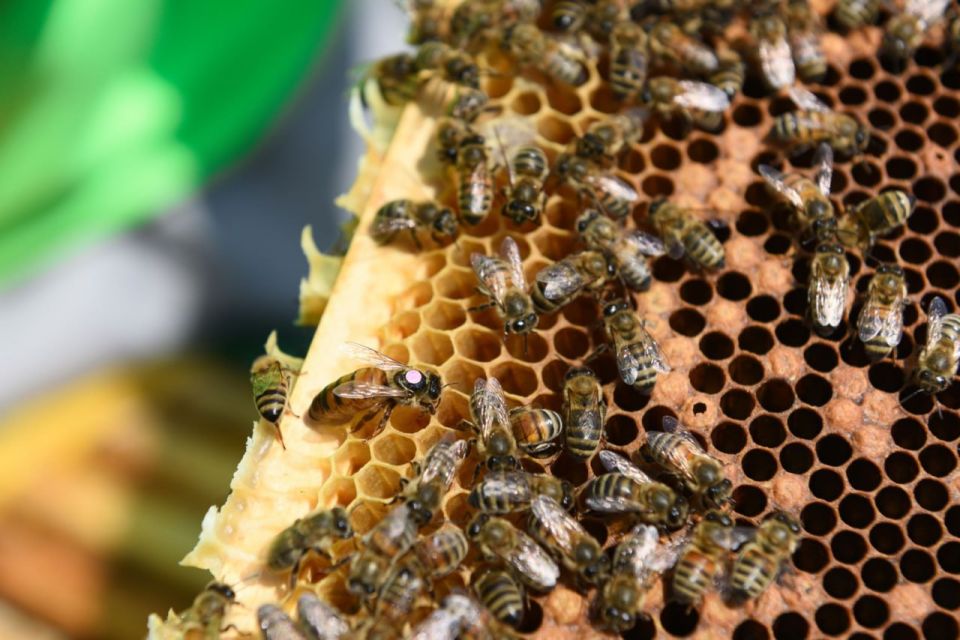 Крестьянско-фермерское хозяйство из Коломны стало лауреатом Первой Всероссийской премии «25 Легендарных фермеров» Крестьянско-фермерское хозяйство из Коломны стало лауреатом Первой Всероссийской премии «25 Легендарных фермеров»