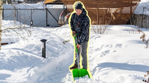Если дома не сидится: эти работы в саду можно делать уже сейчас