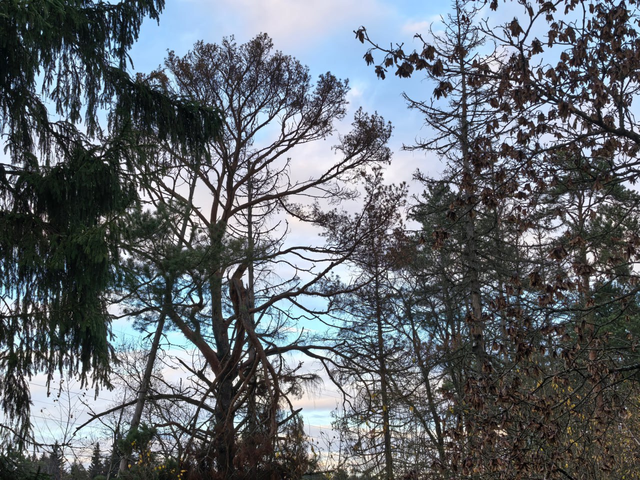 Зима ещё даже на разведку не выходит