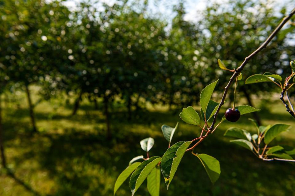 Крестьянско-фермерское хозяйство из Коломны стало лауреатом Первой Всероссийской премии «25 Легендарных фермеров» Крестьянско-фермерское хозяйство из Коломны стало лауреатом Первой Всероссийской премии «25 Легендарных фермеров»