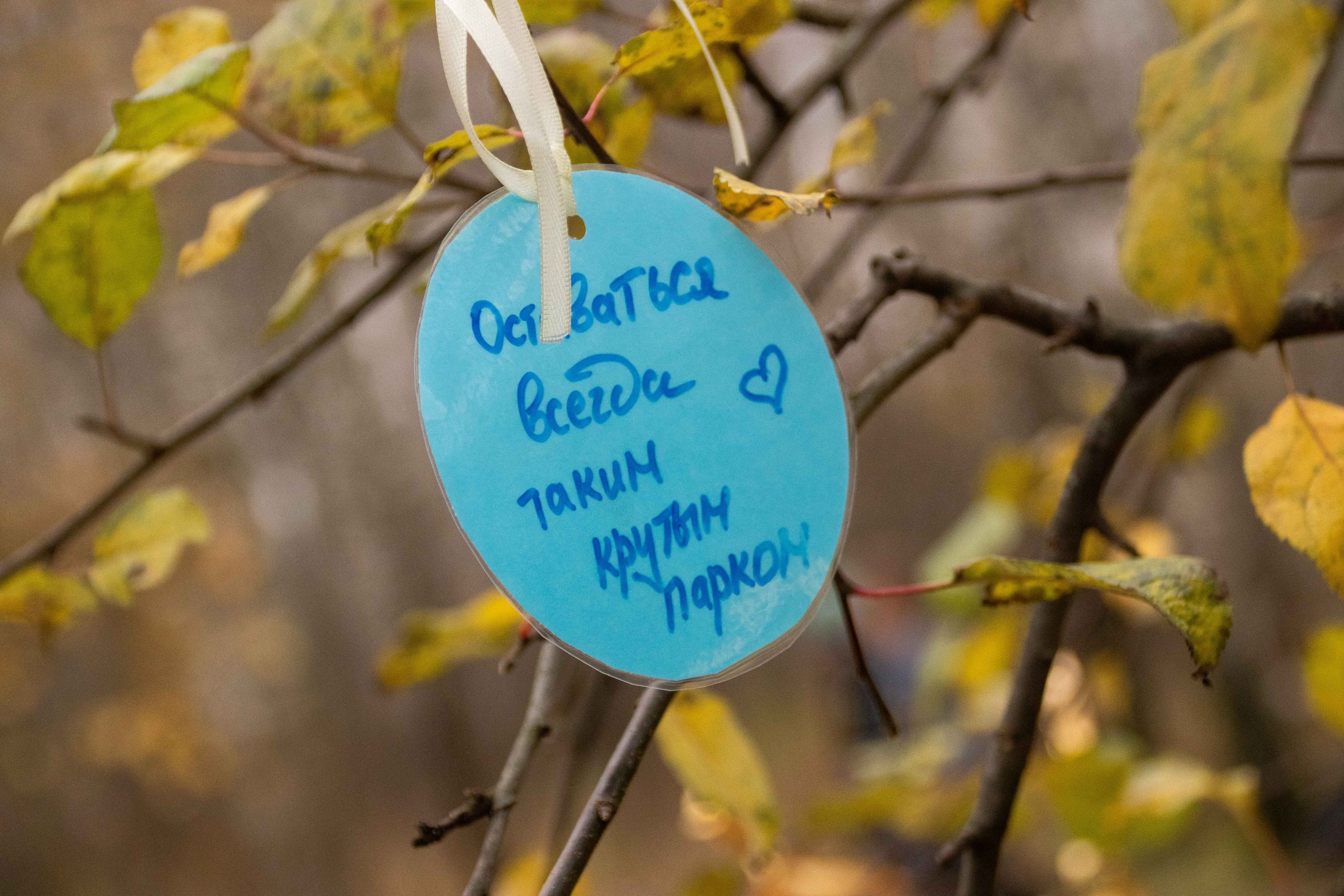 В Домодедово отпраздновали пятилетие парка «Городской лес»! В Домодедово отпраздновали пятилетие парка «Городской лес»!