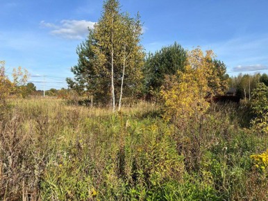 База для счастья!. Минимущества согласовало