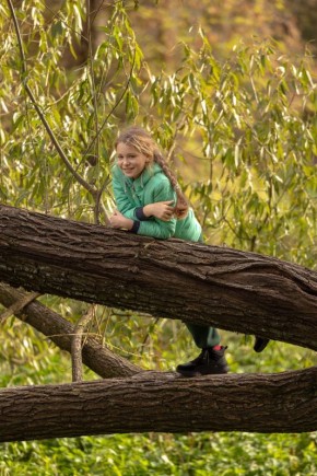 Сегодня в Парках Чехова. СРЕДА (5 ноября)
