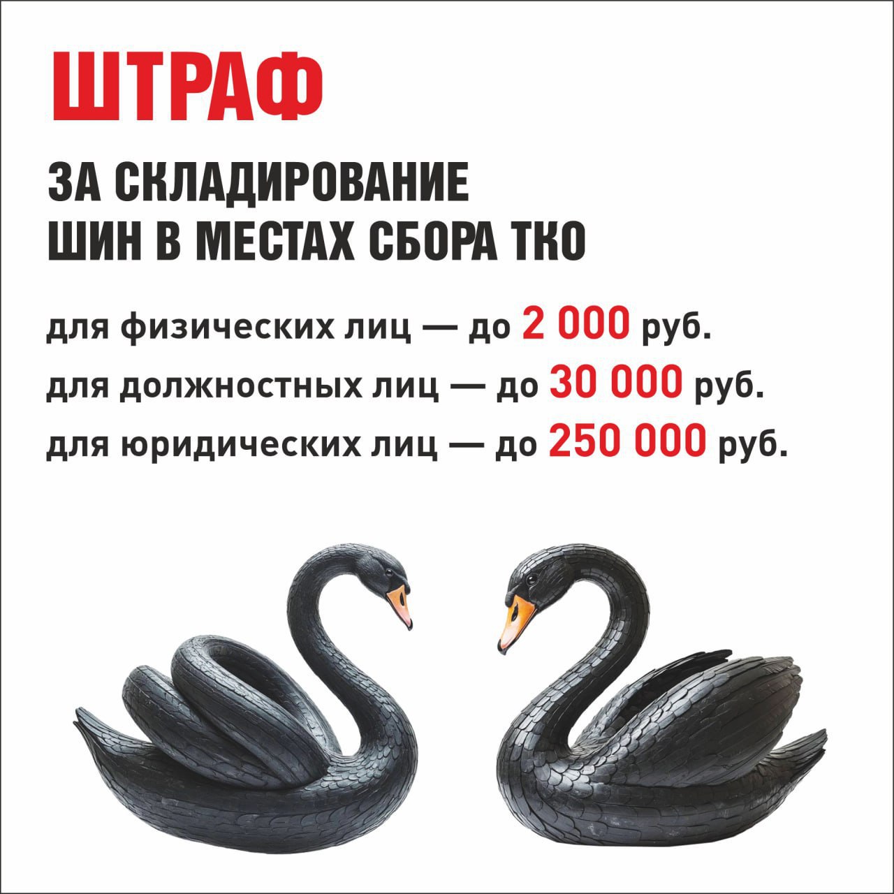 Колеса меняем, планету – сохраняем! Колеса меняем, планету – сохраняем!