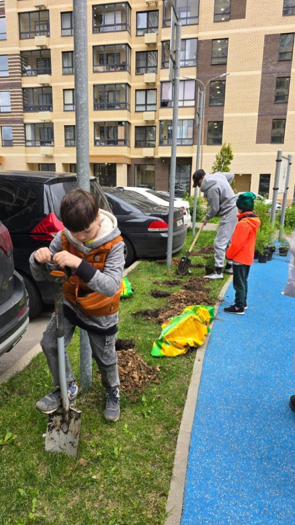 Выбираем лучший дом и лучший двор Выбираем лучший дом и лучший двор