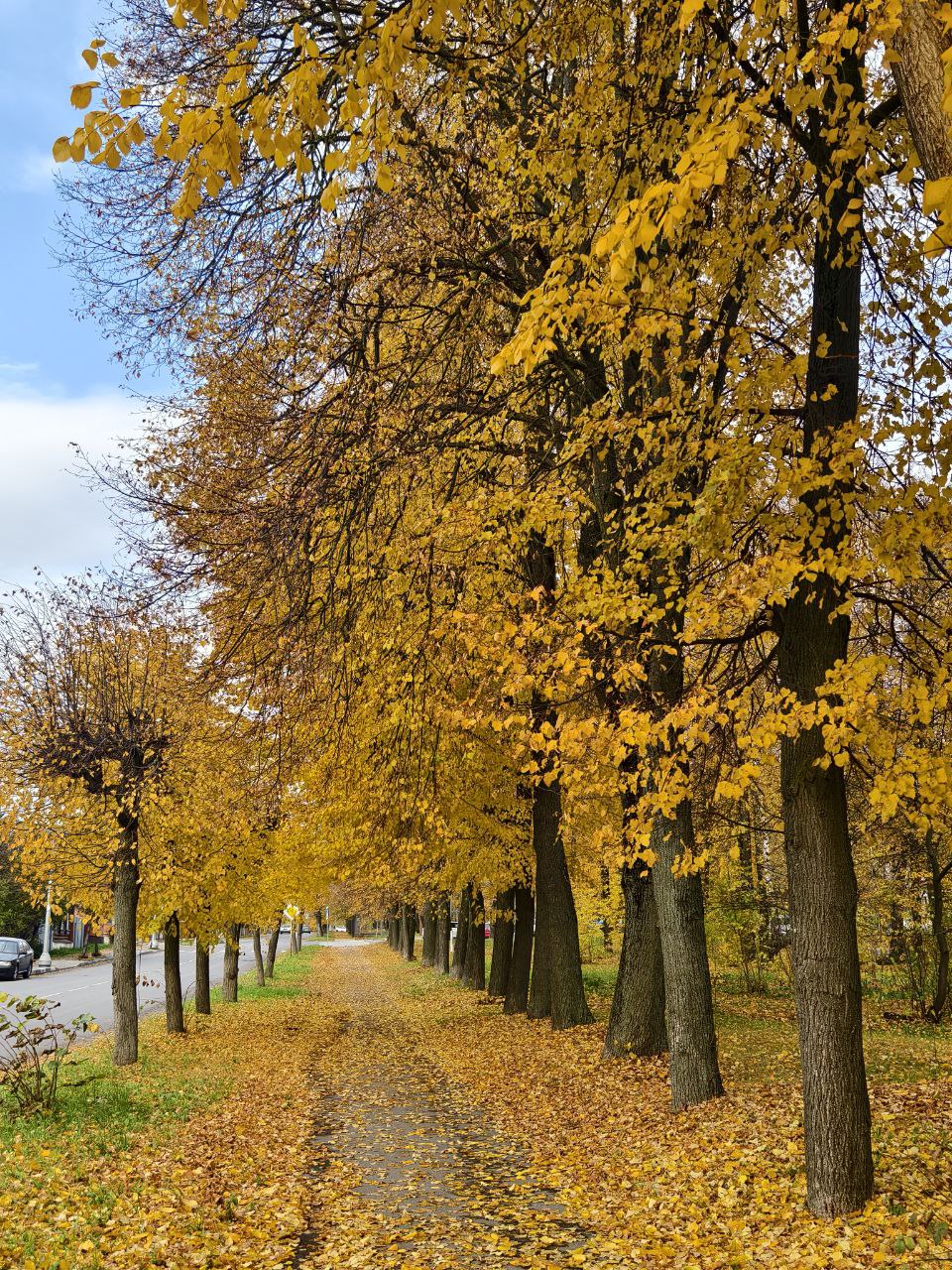 Доброе утро, Серпухов!. Сегодня за окном до 9 градусов тепла