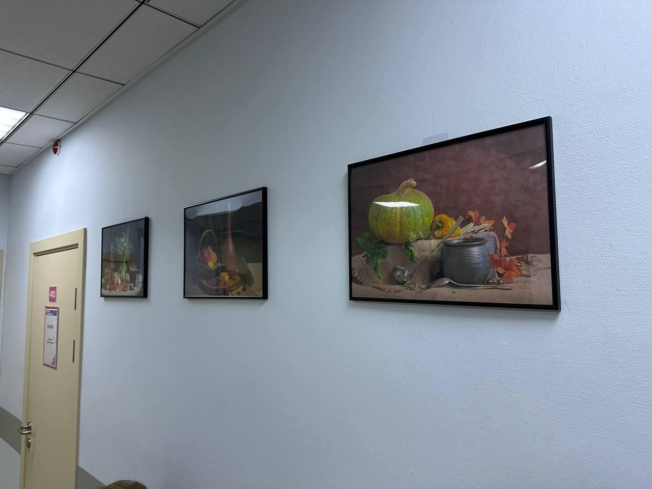 В Домодедовской больнице начала работу фотовыставка «Из жизни натюрмортов»