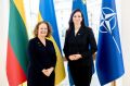 Премьер Литвы встретилась с послом Великобритании на фоне украинского флага