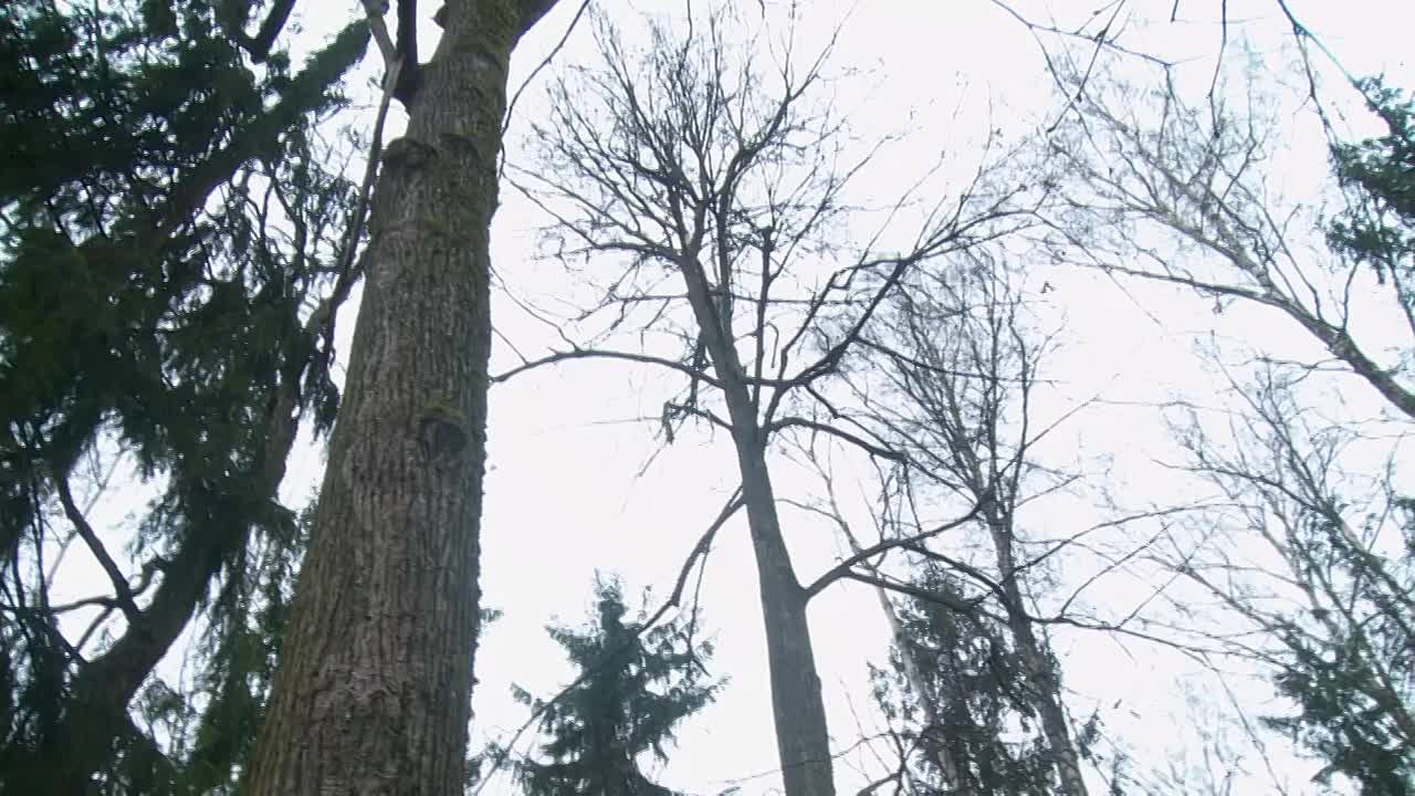 В Городском округе завершается сезон благоустройства дворовых территорий