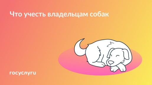 Прогулка, прививка и проезд: что нужно соблюдать, если есть собака