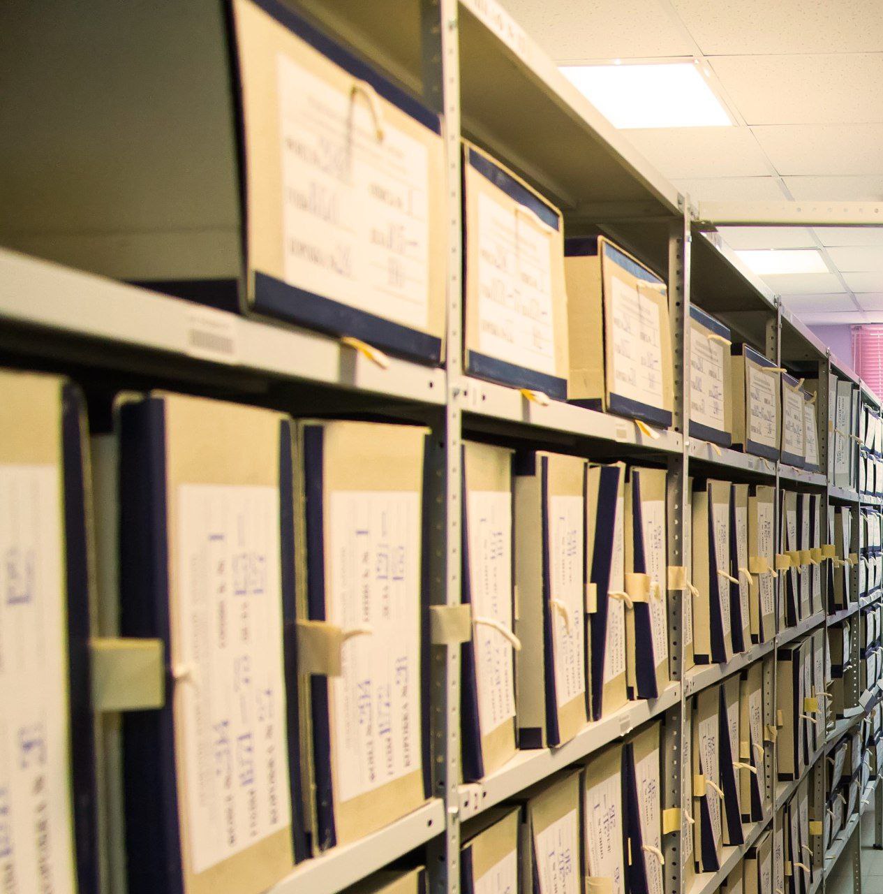 Жители Подмосковья могут узнать историю своей семьи с помощью нейросети