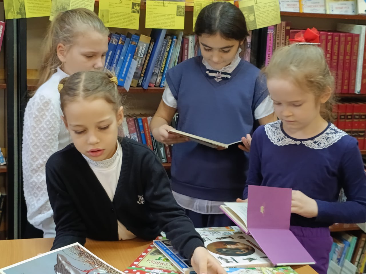 Медиапрезентация в Троицкой библиотеке муниципального округа Чехов Медиапрезентация в Троицкой библиотеке муниципального округа Чехов