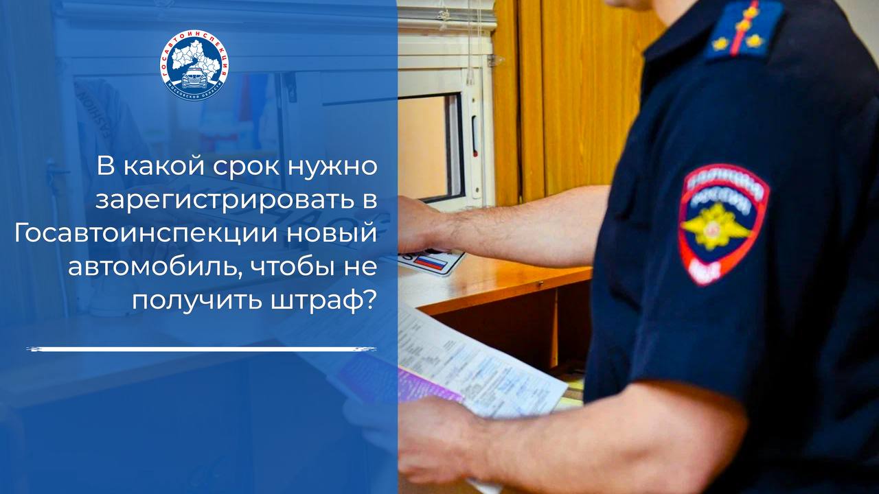 В какой срок нужно зарегистрировать авто, чтобы не получить штраф?