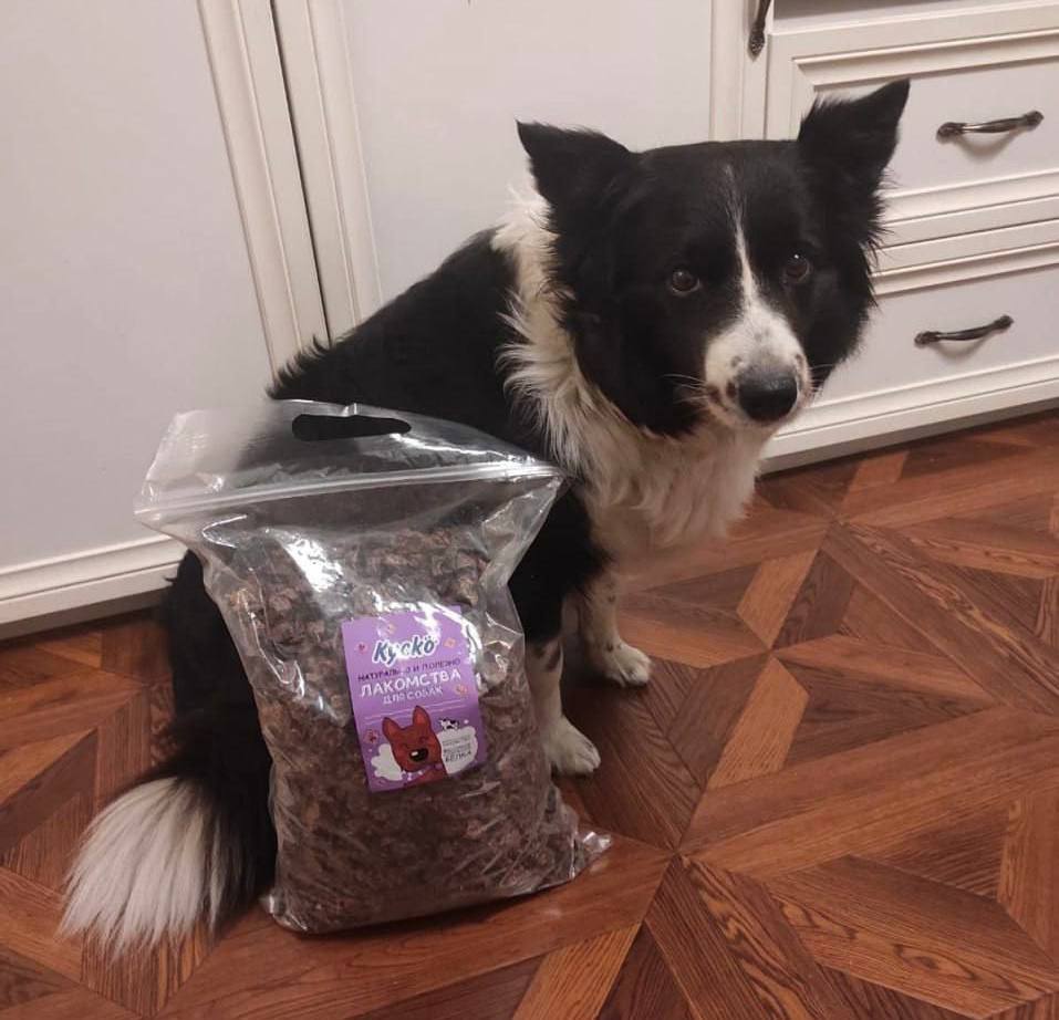 В Остафьево ищут украденную собаку В Остафьево ищут украденную собаку