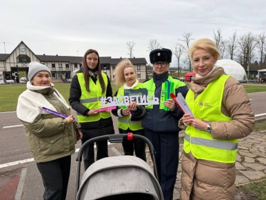«Родительский патруль» и Госавтоинспекция Подмосковья напомнили о безопасности детей