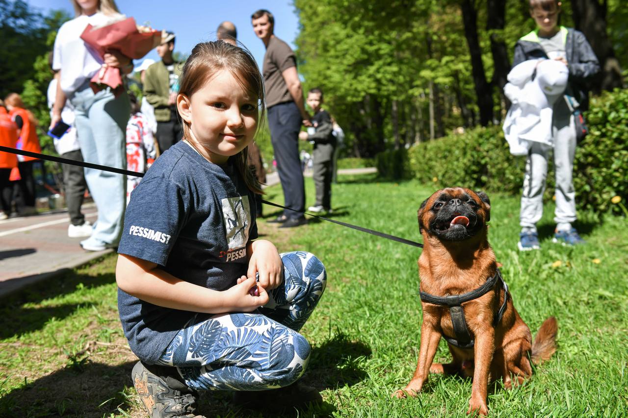 Ветеринары вакцинировали около 2 тысяч питомцев в Химках Ветеринары вакцинировали около 2 тысяч питомцев в Химках