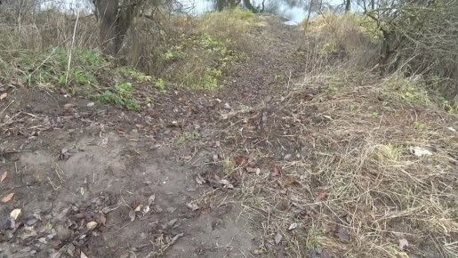 Сергей Мужальских: Встретился с жителями сёл Большое Алексеевское и Авдотьино