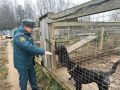 Акция «35 добрых дел»: пожарные Можайска оказали помощь приюту для животных