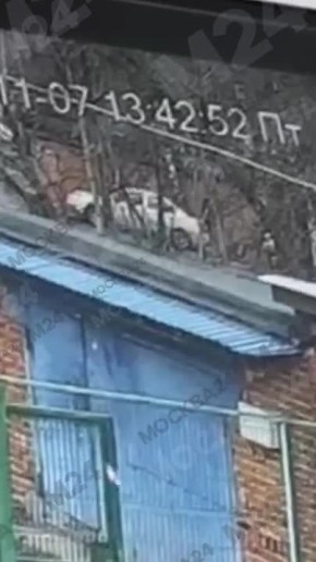 Бордер-колли Симу похитили посреди дня в Щербинке: некий мужчина увёз собаку в неизвестном направлении, утверждают очевидцы