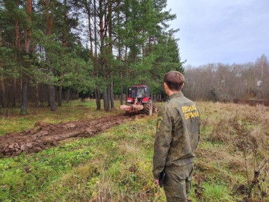В лесопарке «Загорское море» создали минерализованные полосы для защиты от пожаров