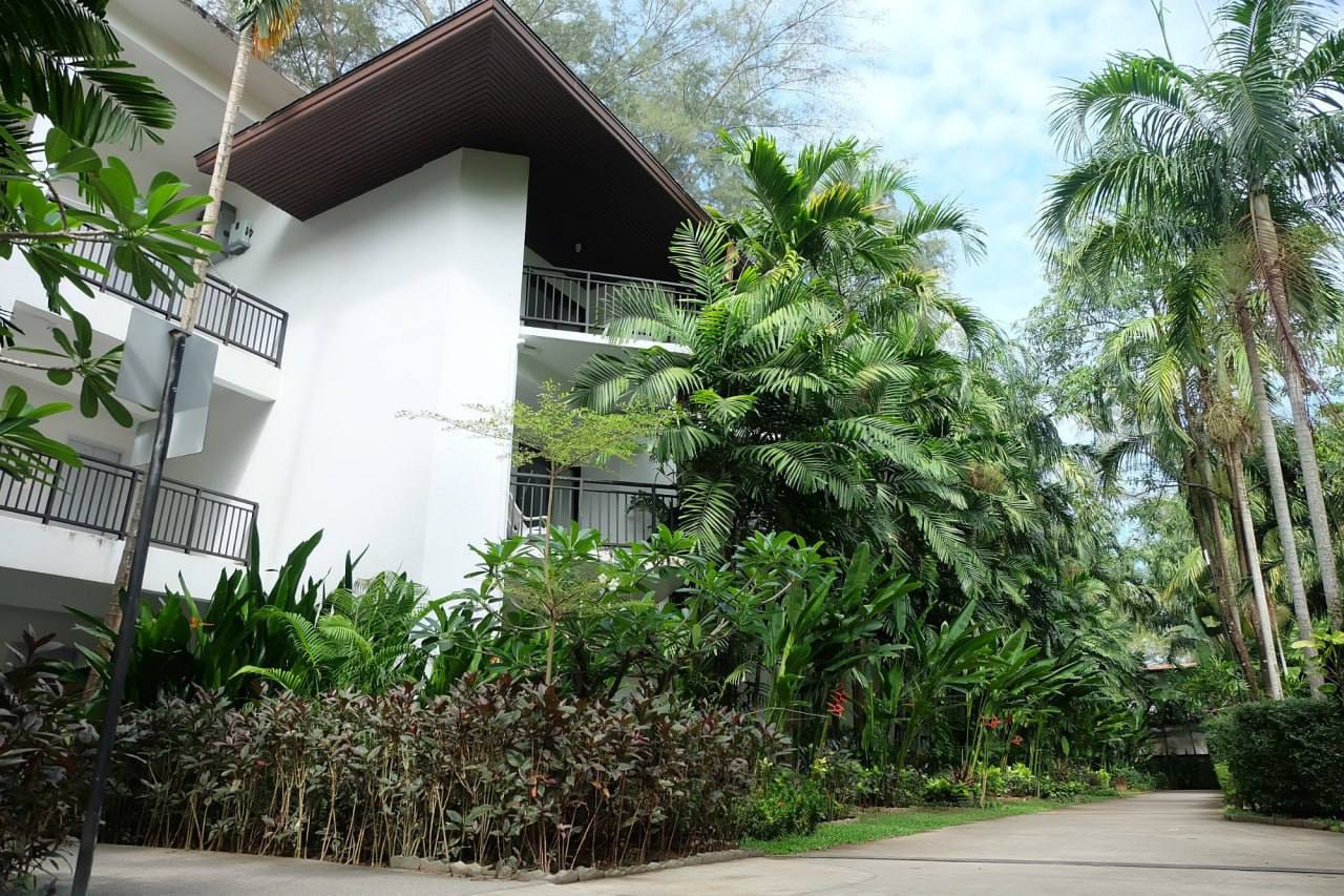 Королевская кобра заползла в отель с россиянами в Таиланде