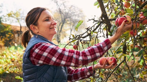 Вот когда нужно сажать озимые культуры: эти даты стоит запомнить каждому дачнику