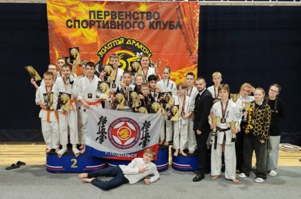 В Подольске открытое первенство по кекусинкай собрало 378 каратистов