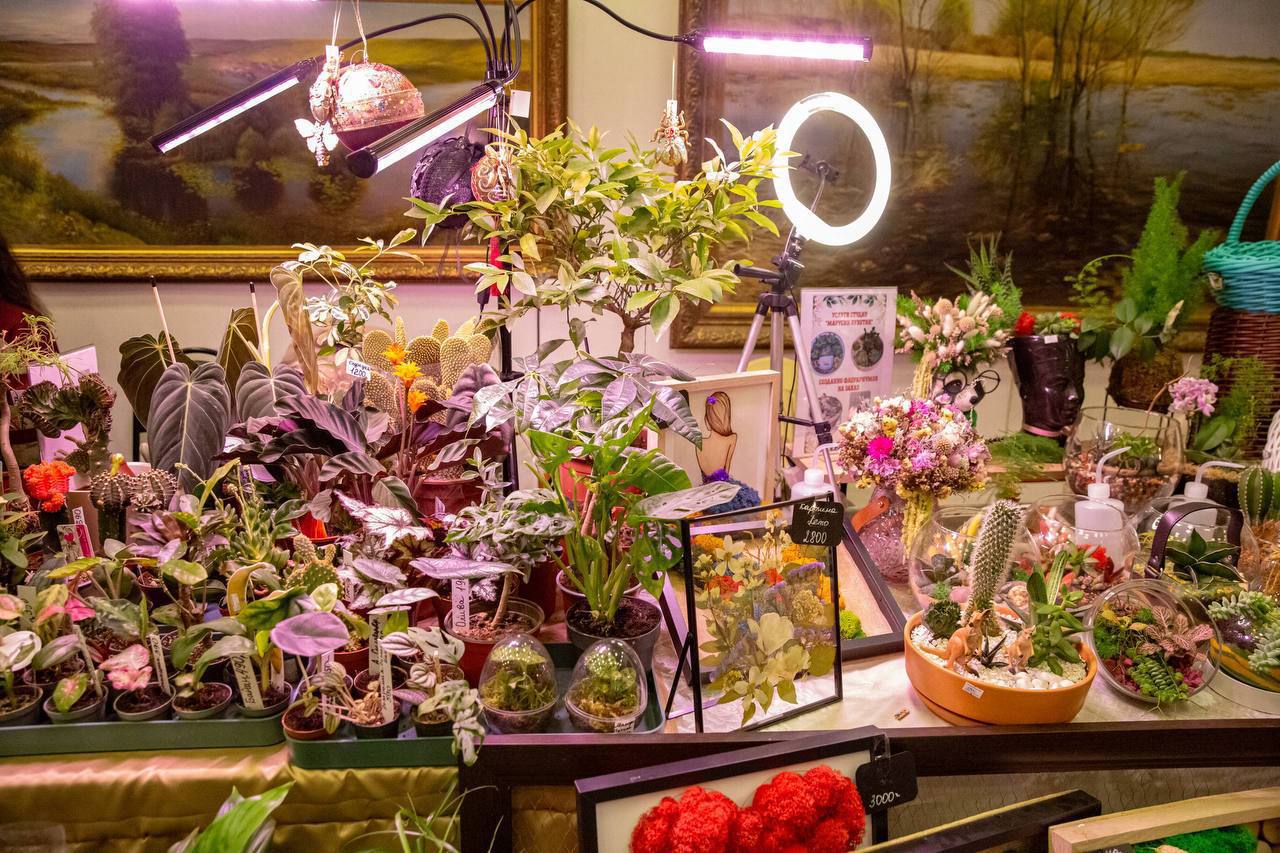 Уникальные растения со всего света можно приобрести на выставке «ЦветоМагия» в Подольском выставочном зале Уникальные растения со всего света можно приобрести на выставке «ЦветоМагия» в Подольском выставочном зале