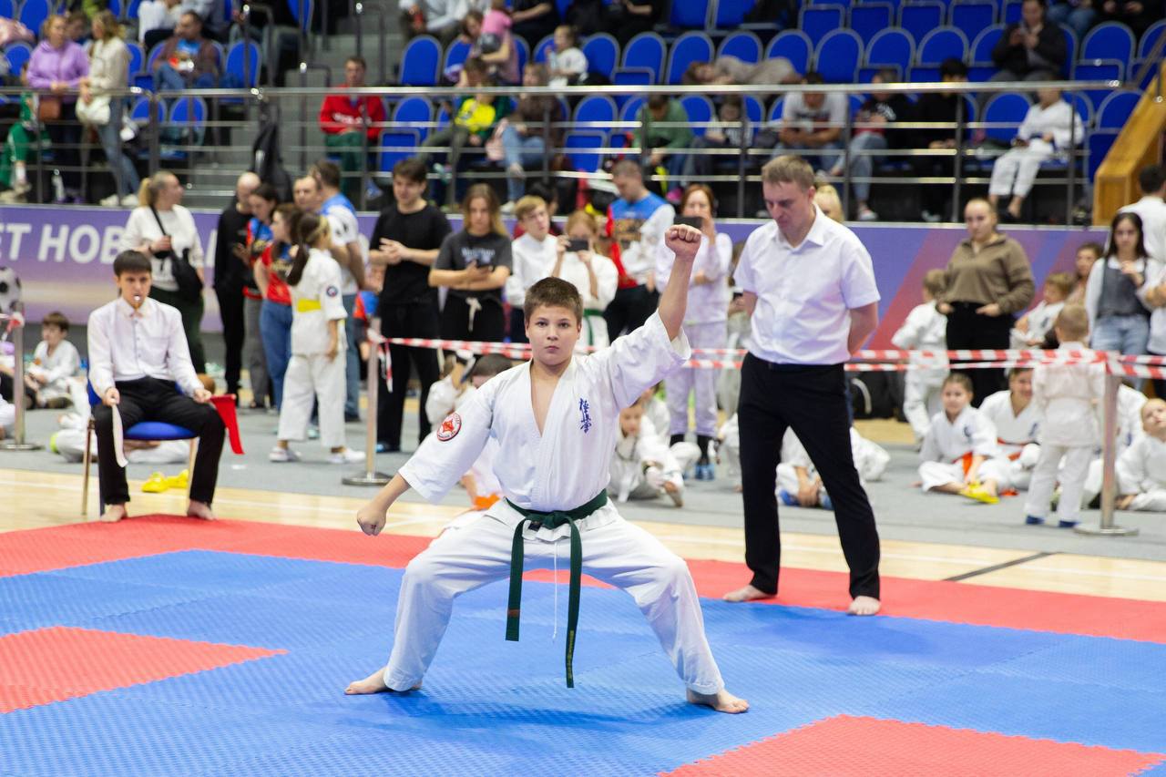 В Подольске открытое первенство по кекусинкай собрало 378 каратистов В Подольске открытое первенство по кекусинкай собрало 378 каратистов