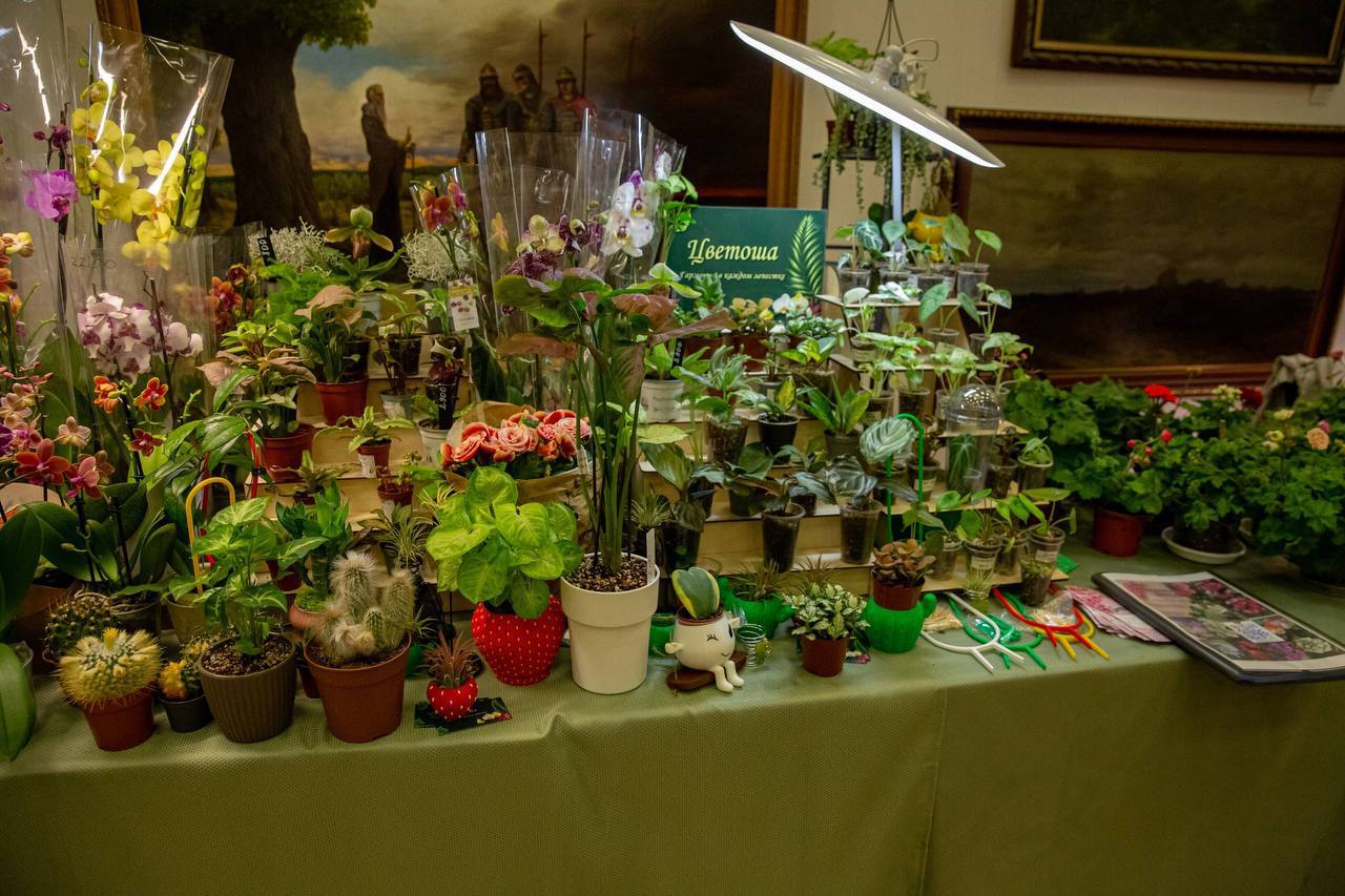 Уникальные растения со всего света можно приобрести на выставке «ЦветоМагия» в Подольском выставочном зале Уникальные растения со всего света можно приобрести на выставке «ЦветоМагия» в Подольском выставочном зале