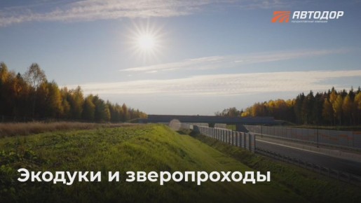 Экодуки — это мосты или тоннели, построенные для безопасного перехода диких животных через дороги и автотрассы, чтобы сохранить их естественную среду обитания и снизить риск столкновений с транспортом