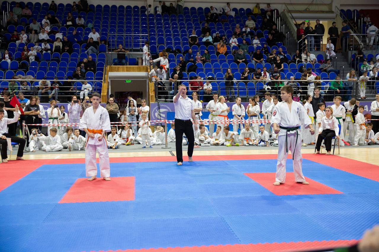 В Подольске открытое первенство по кекусинкай собрало 378 каратистов В Подольске открытое первенство по кекусинкай собрало 378 каратистов